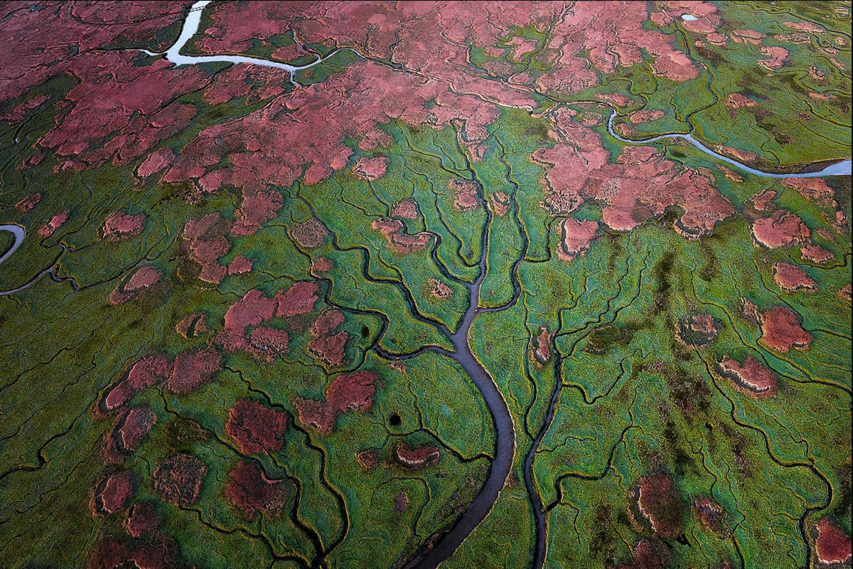 Verdronken Land van Saeftinghe van bovenaf