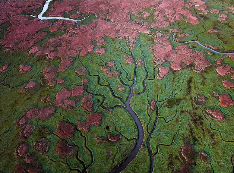 Verdronken Land van Saeftinghe van bovenaf