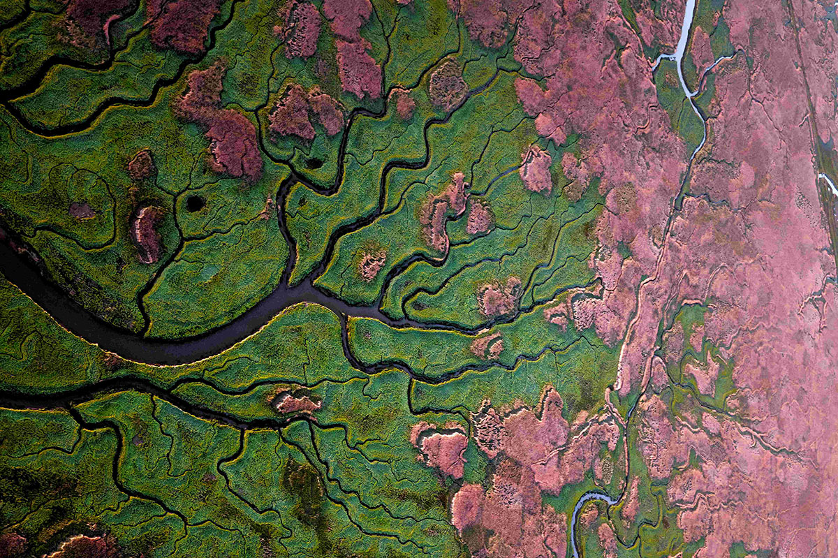 The Verdronken Land of Saeftinghe from above