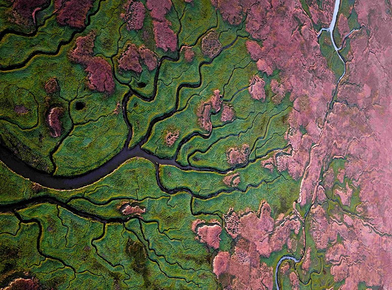 The Verdronken Land of Saeftinghe from above