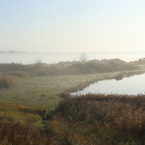 goudplaat ommetje