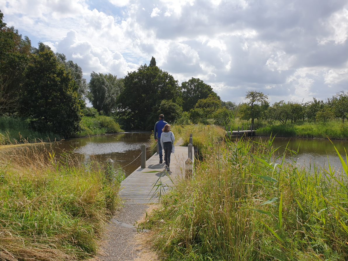 ommetje hoedekenskerke