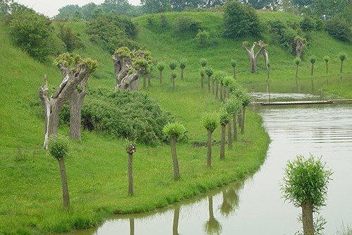 De wallen van Retranchement zie je genoeg tijdens je winterwandeling . Geniet van deze historische wandelroutes tijdens de winter.