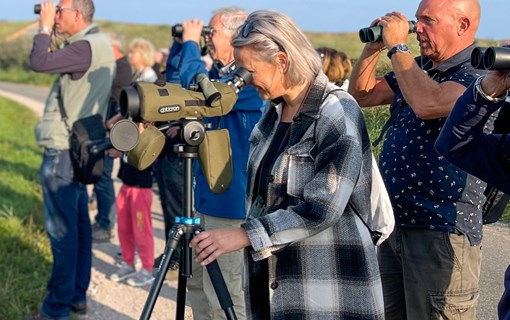Vogelbeobachtung im Naturschutzgebiet Noordervroon