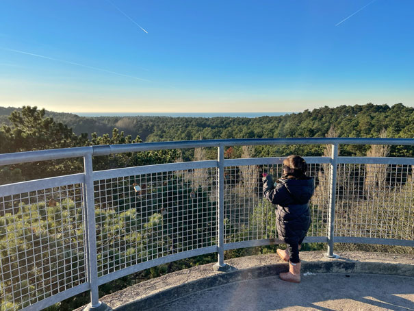 boswachterij westenschouwen uitkijktoren