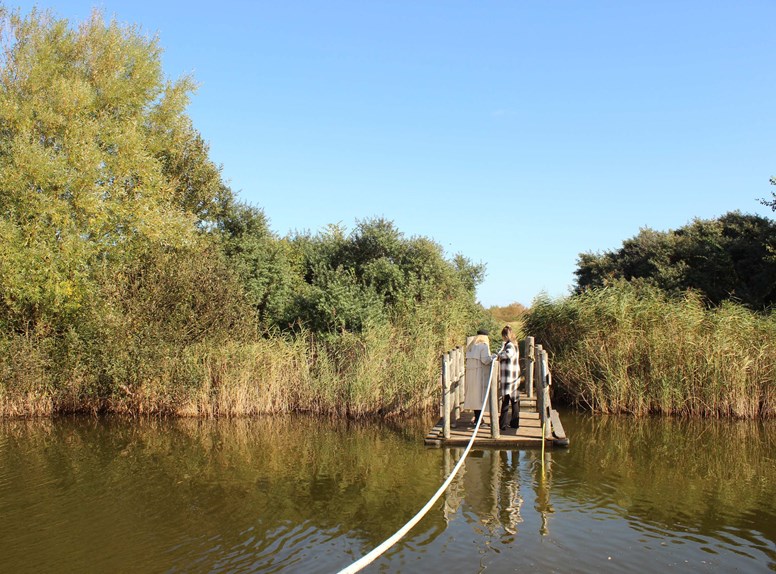 Trekvlot in Westkapelle