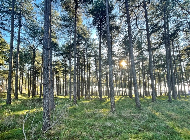 Natuurgebied Oranjezon