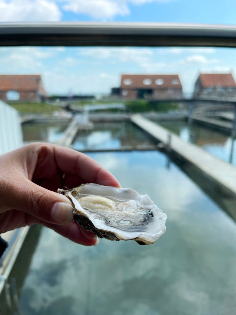 oester oesterij