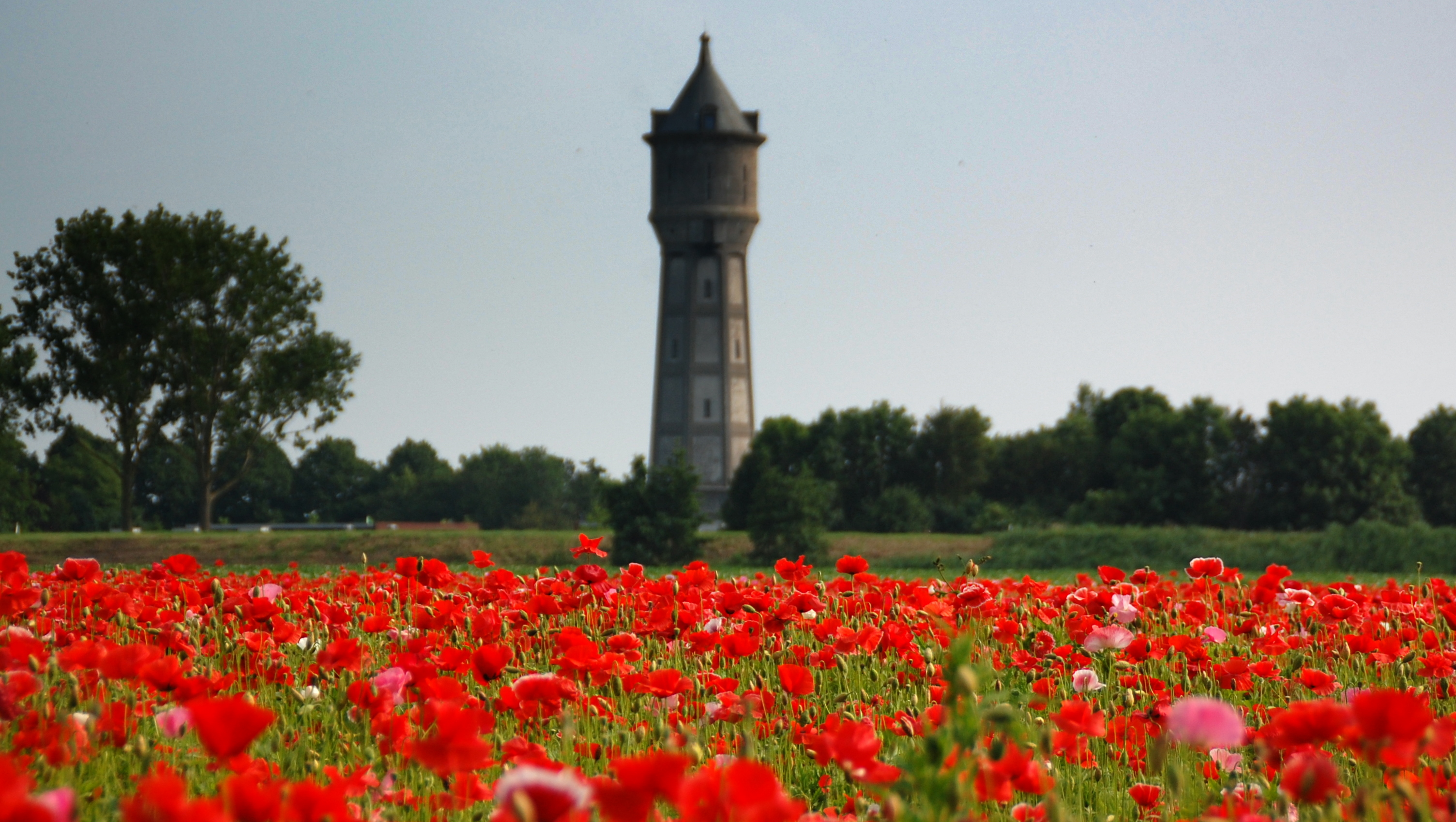 Kitesurfen aan de Oesterdam in de Gemeente Tholen