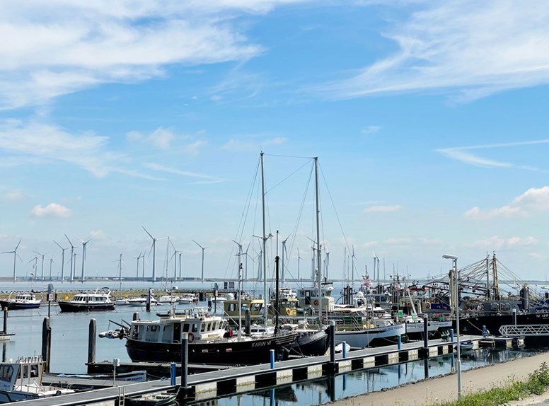 Bruinisse haven