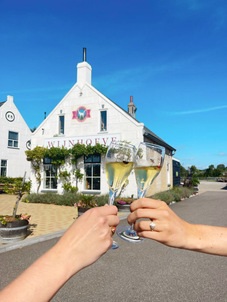 Verkostungen in Zeeland