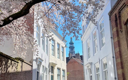 Spring in Middelburg