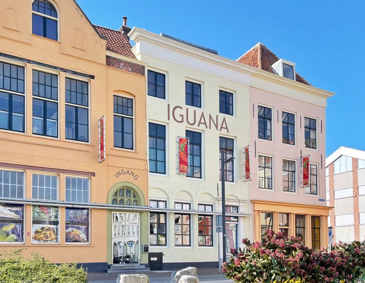 Iguana aan het Bellamypark in Vlissingen