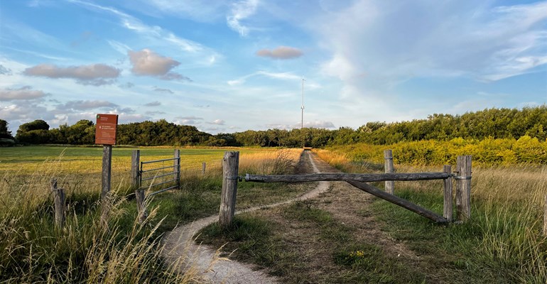 Westkapelle wandelpad bos