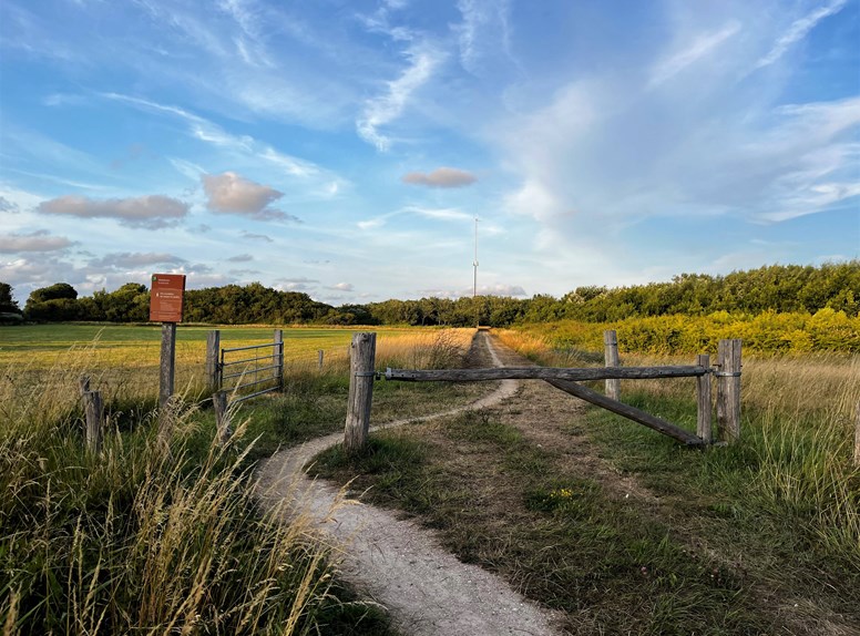 Westkapelle wandelpad bos