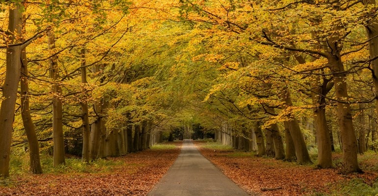Wandelen in Zeeland, te voet genieten van de Zeeuwse natuur.