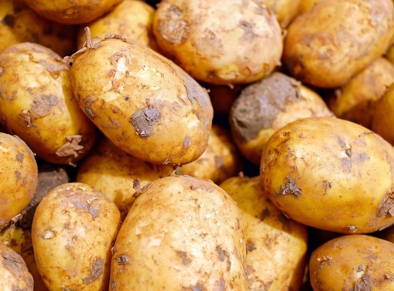De smaak van Tholen; van vroege aardappelen tot Oosterscheldekreeft