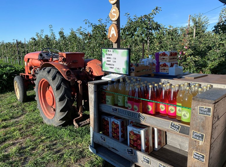 Routen durch die Obstplantagen von Zuid-Beveland