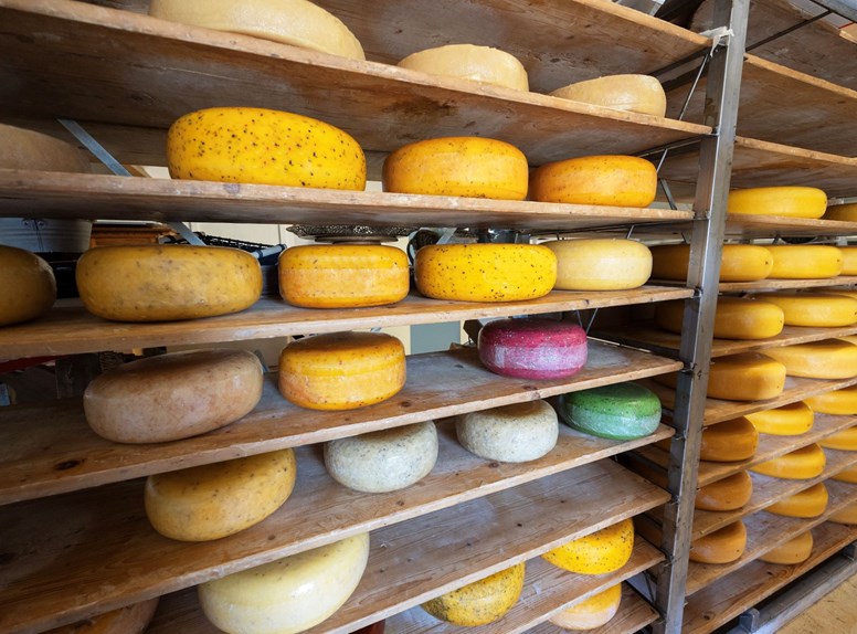 Kaasboerderij De Stolpe