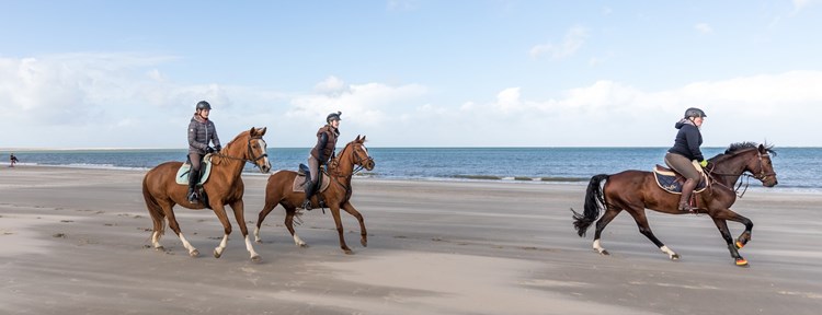 Paardrijden in Zeeland, Paardrijden op Noord-Beveland, Paardrijden op Schouwen-Duiveland