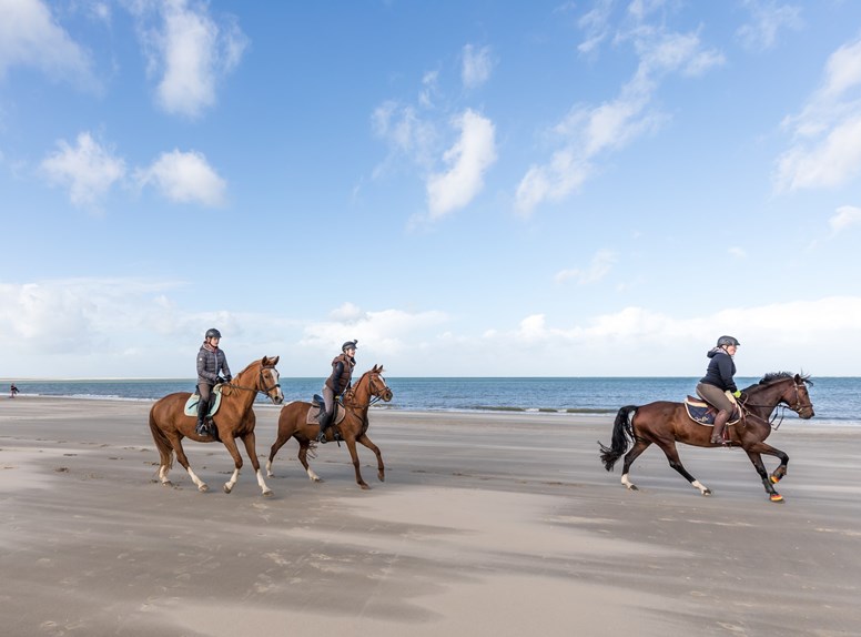 Paardrijden in Zeeland, Paardrijden op Noord-Beveland, Paardrijden op Schouwen-Duiveland