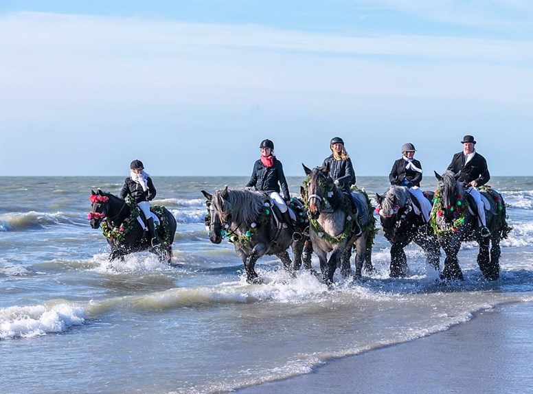 Straô Renesse