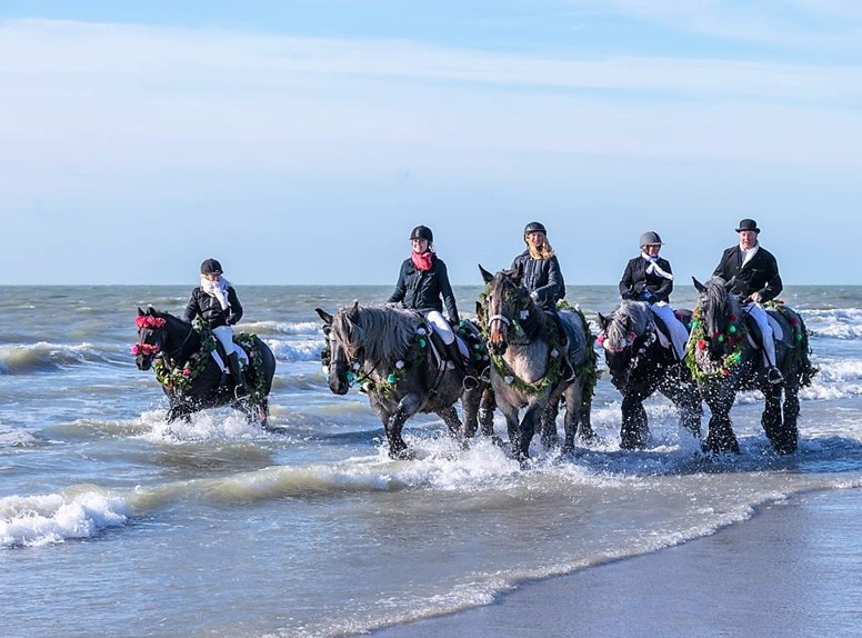Strao Renesse 1