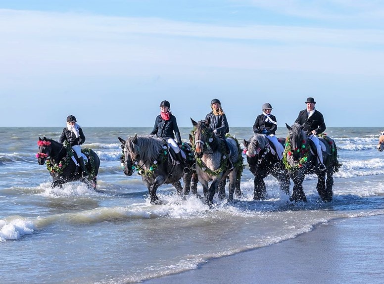 Strao Renesse 1