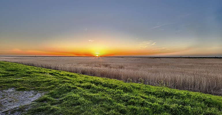 Grenspark Groot Saefthinge