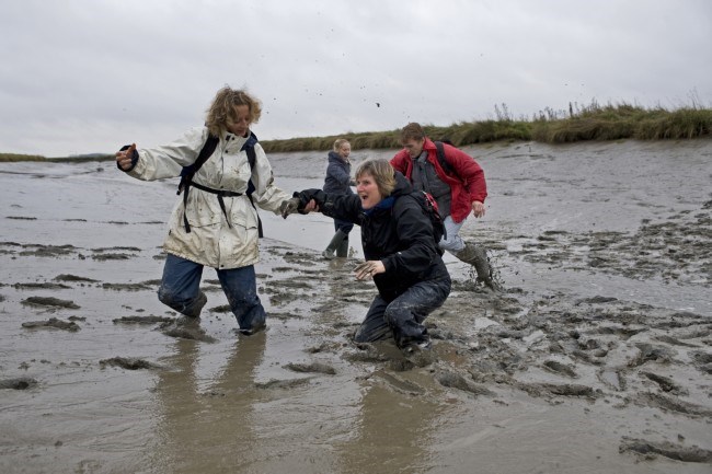 Wandelen in het Verdronken Land van Saeftinghe