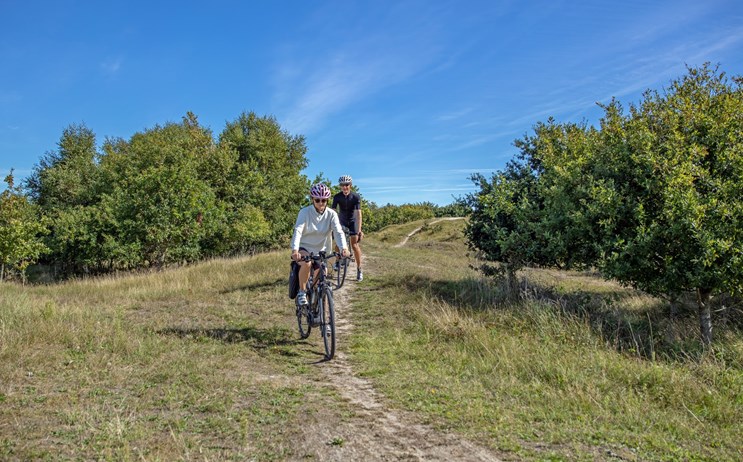 Mountainbiken en fietsen in Zeeland