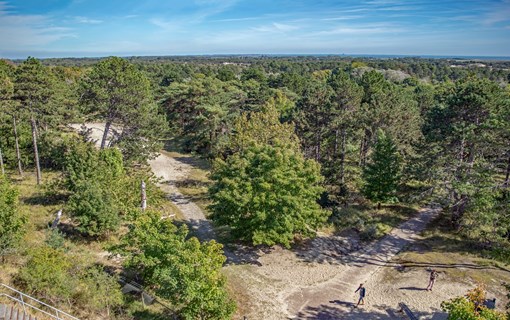 uitzicht boswachterij westerschouwen