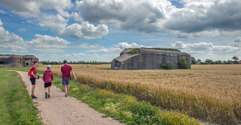 Wandelnetwerken in Zeeland. Genieten van de Zeeuwse natuur met je eigen samengestelde wandelroute. Met wandelnetwerk Zeeland is veel te ontdekken!