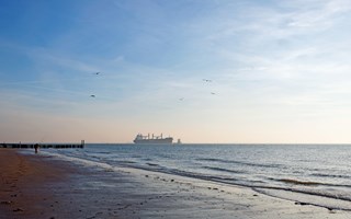 Westerschelde