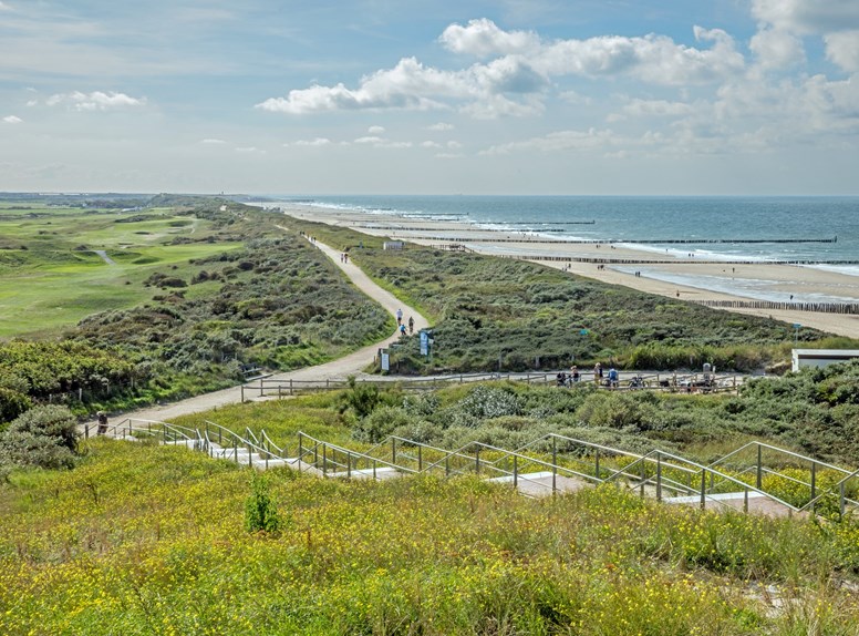 Hirsche beobachten in Zeeland, de Manteling