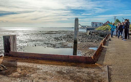 Oosterschelde Yerseke oyster beds guided tour