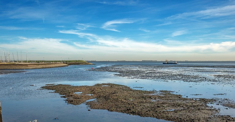 Yerseke Oosterschelde Zuid-Beveland