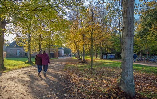 wandelen westhove bos