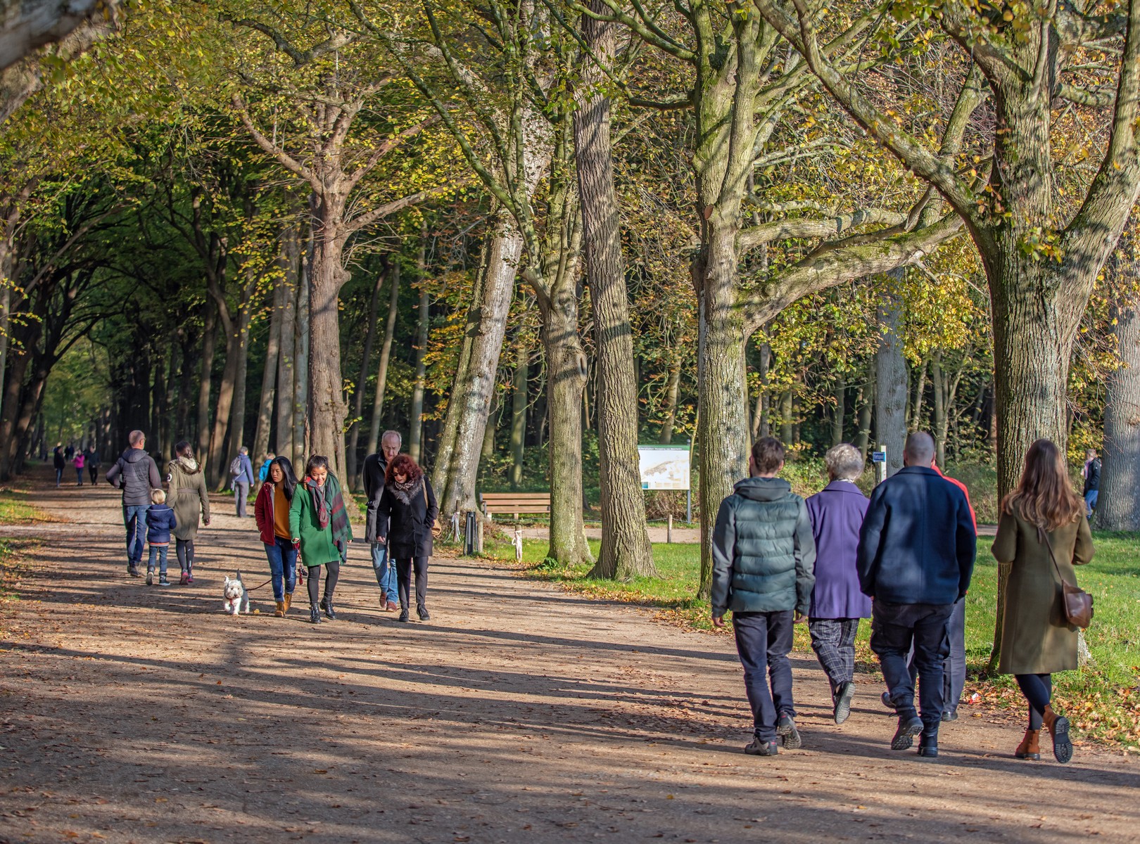 wandelen westhove domburg bos herfst wandelaars