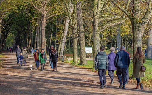 bos westhove domburg