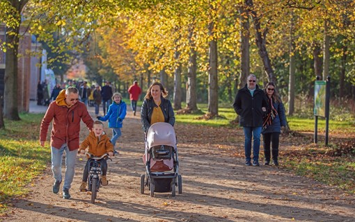 gezin wandelt bos domburg
