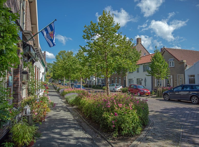 Kats straat