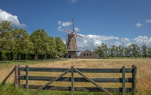 Wissenkerke molen weiland