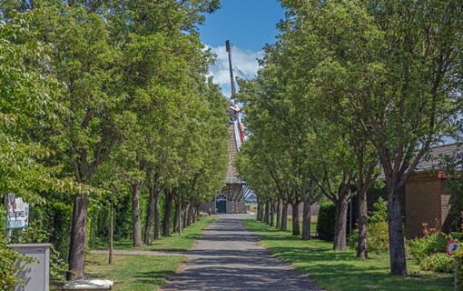 Wissenkerke straat laan bomen