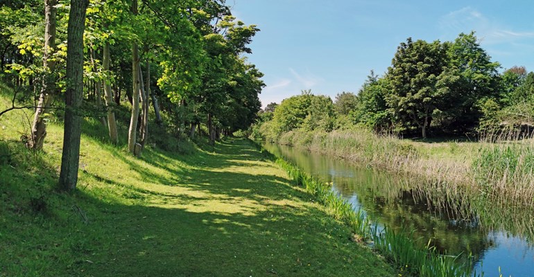 Oranjezon gras water natuur 2