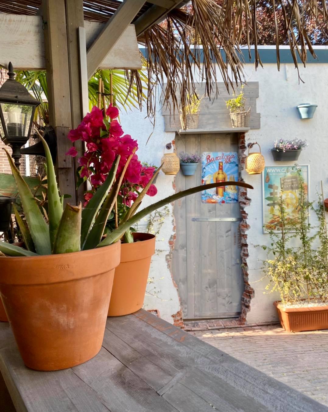 terneuzen hotspots zeeuws vlaanderen