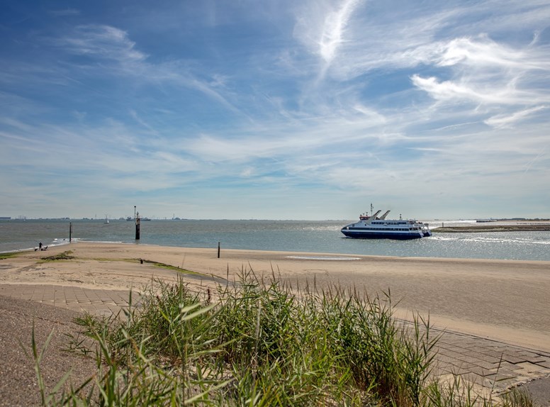 De Panoramaroute is een prachtige fietsroute in Zeeuws-Vlaanderen. Hier fiets je langs de Zeeuwse kust en kijk je uit op het prachtige zicht van de Westerschelde en Noordzee.