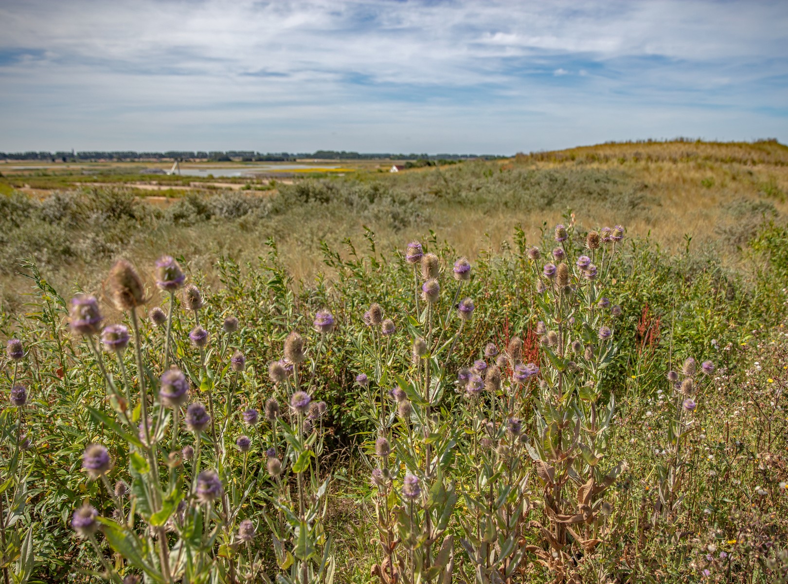 Uitzicht in Zeeuws-Vlaanderen