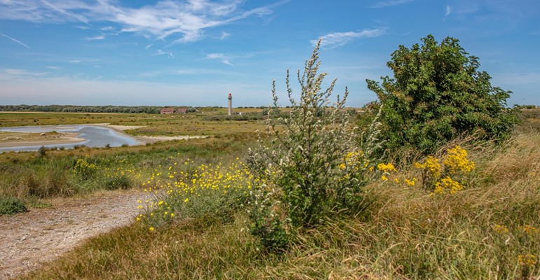 Radartoren Zwarte Polder Cadzand