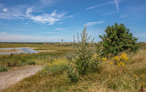 Uitzicht radartoren Panoramaroute Zeeuws-Vlaanderen